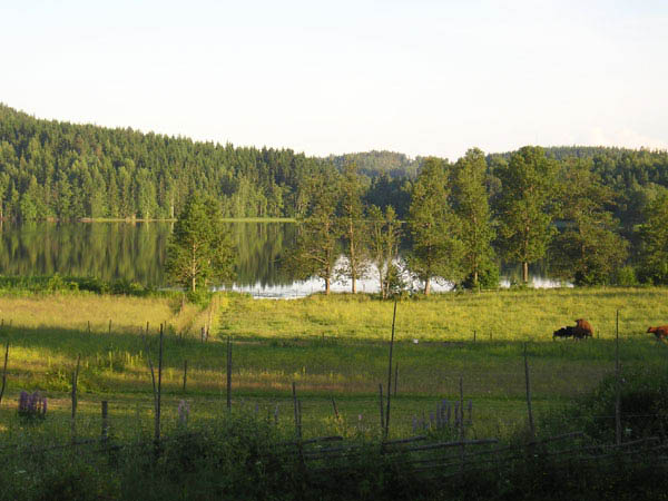upperud01-1